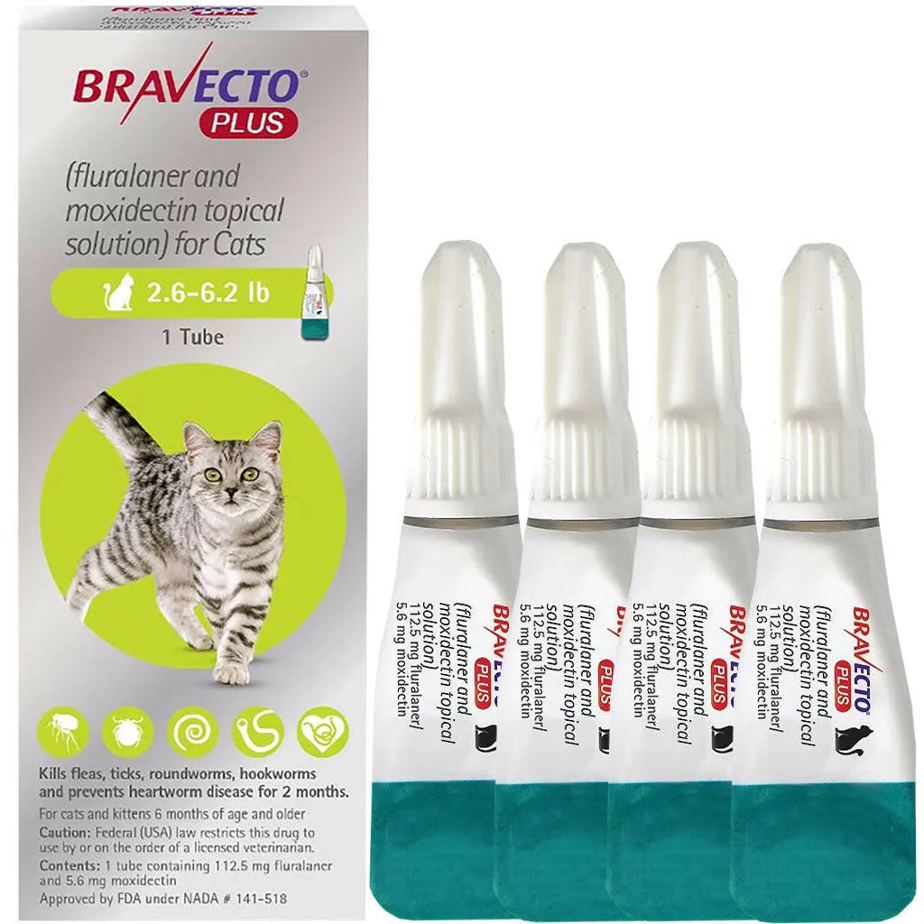 Bravecto Plus Topical Solution for Cats 2.6-6.2 lbs