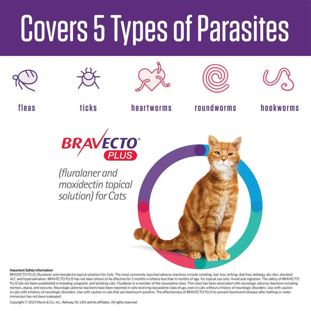 Bravecto Plus Topical Solution for Cats 2.6-6.2 lbs