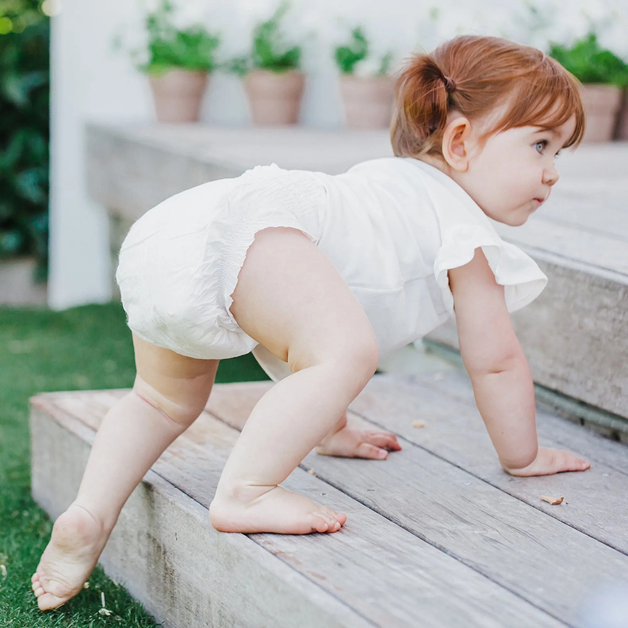 FREE Terra Diaper Sample 2 Pack