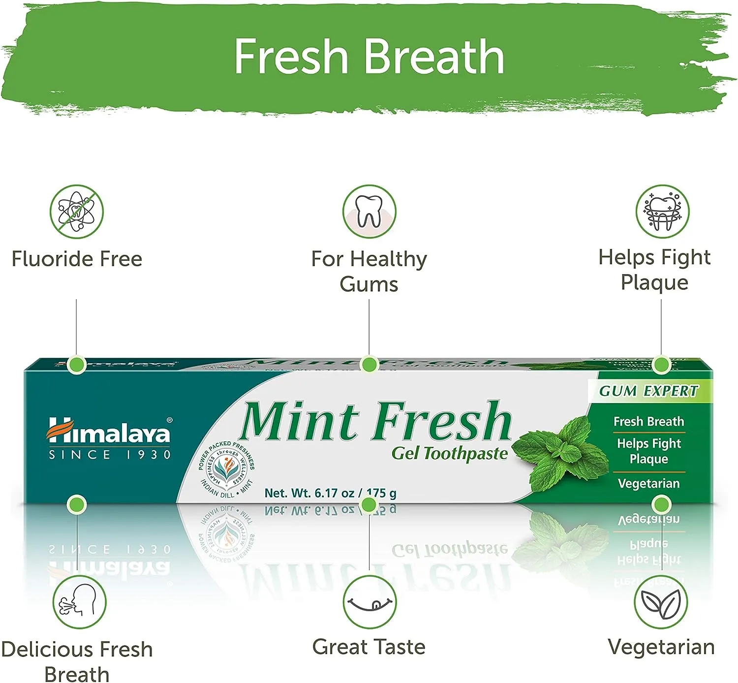 Himalaya Mint Fresh Gel Toothpaste, Fluoride Free to Reduce Plaque & Brighten Teeth, 6.17 oz