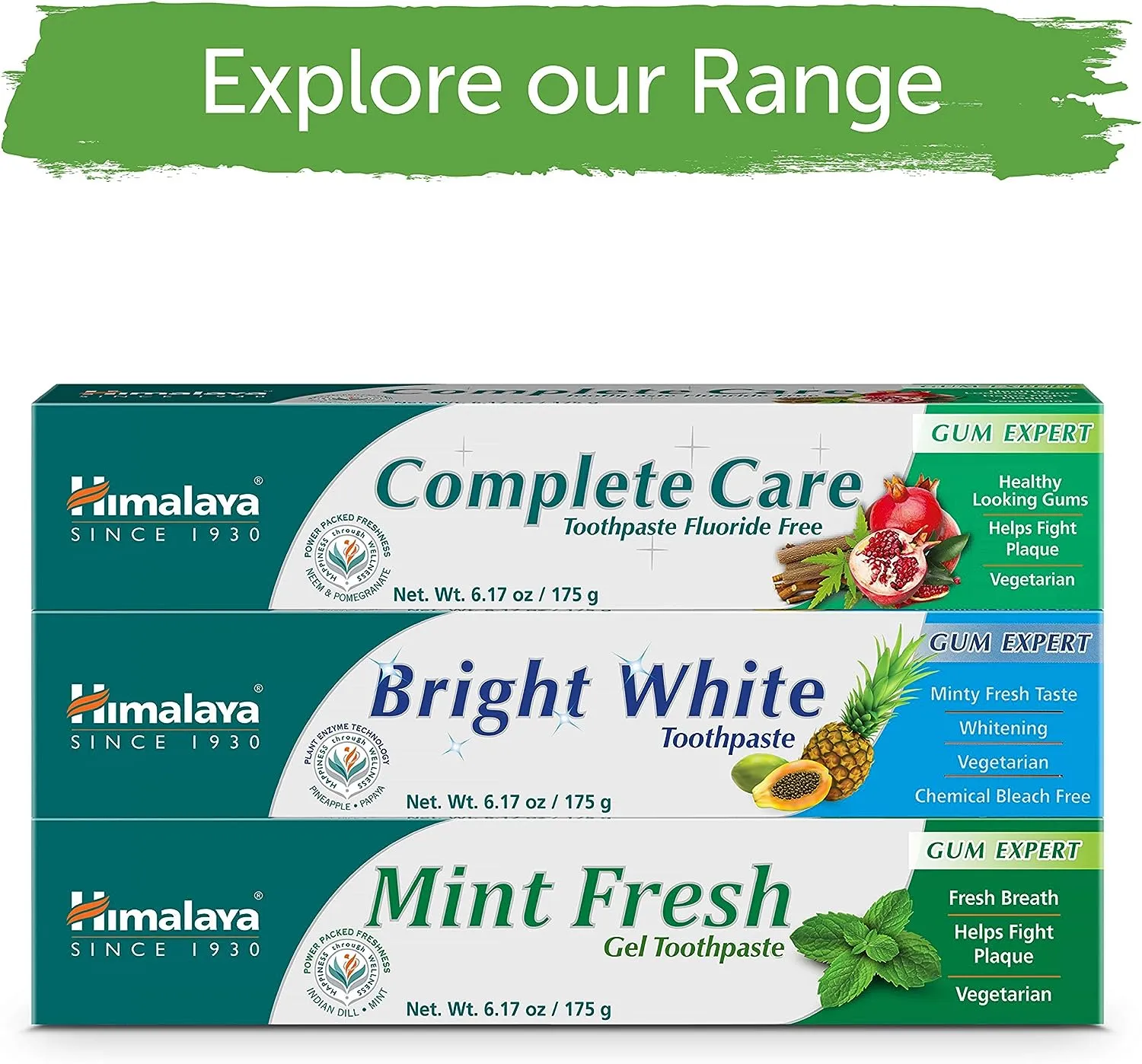 Himalaya Mint Fresh Gel Toothpaste, Fluoride Free to Reduce Plaque & Brighten Teeth, 6.17 oz