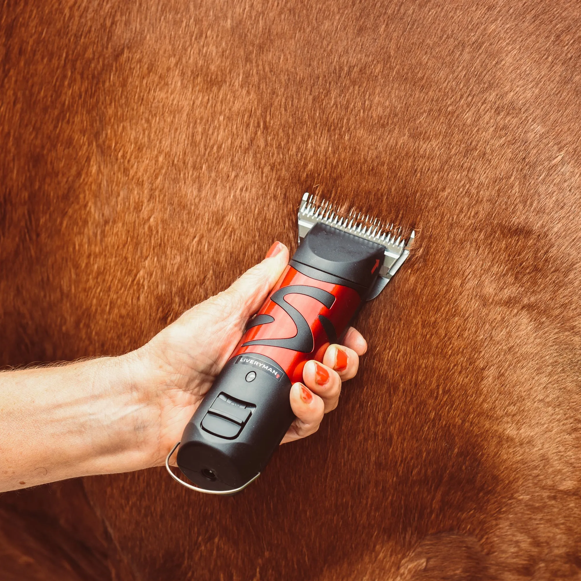 Liveryman Harmony Plus Rechargeable Clippers