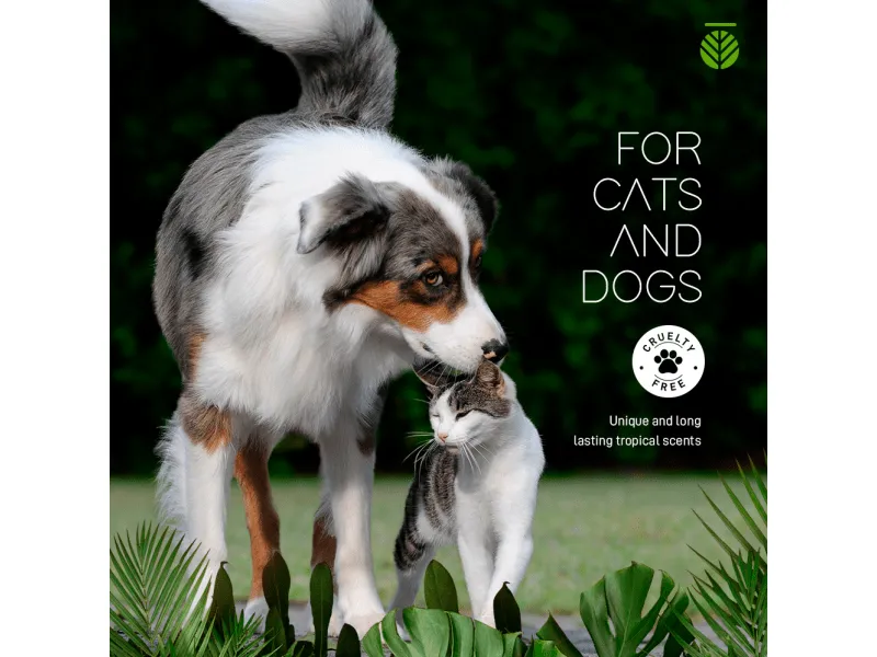 ODOR CONTROL PET SHAMPOO  2 GALON / 3,6 L Ea)