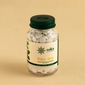Polar Dew | Handmade Spearmint Toothpaste Tablets (250 Pellets)