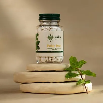 Polar Dew | Handmade Spearmint Toothpaste Tablets (250 Pellets)