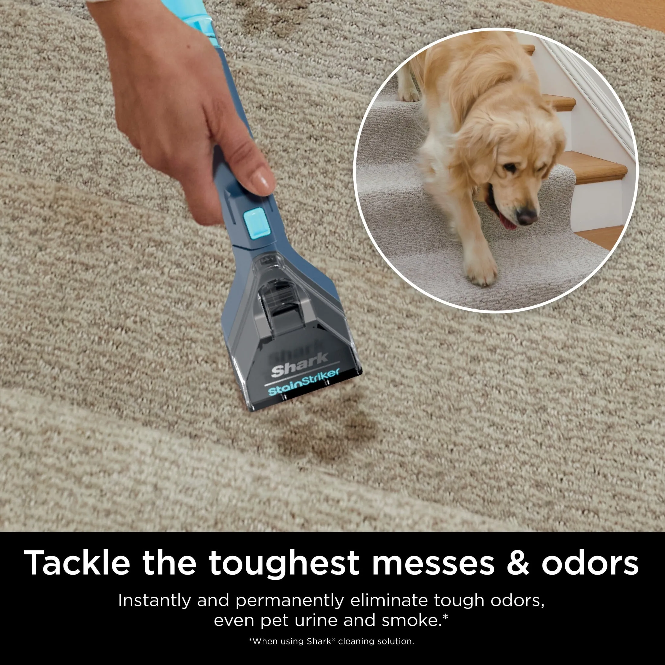 Shark StainStriker Portable Carpet & Upholstery Cleaner, PX200, New