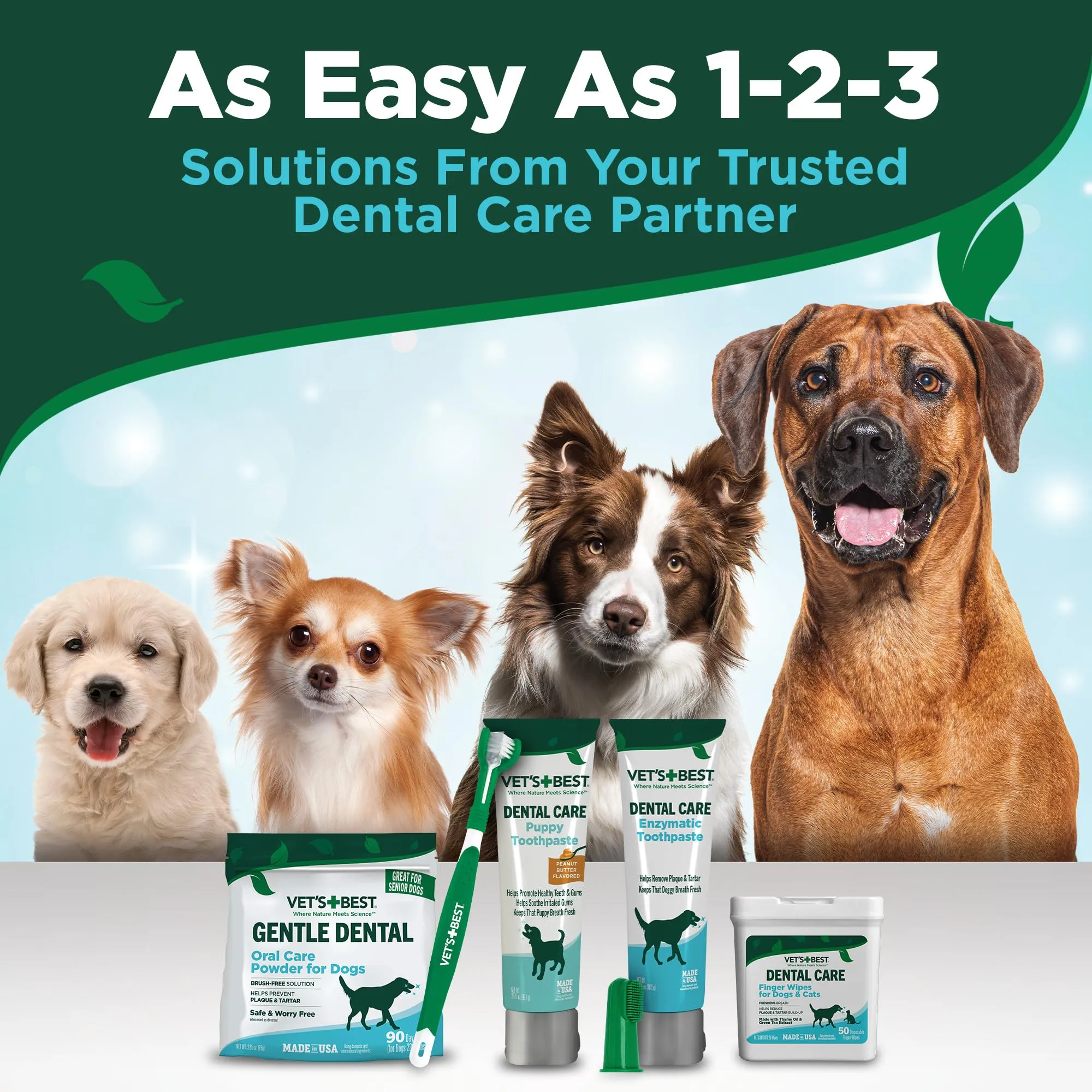 Toothbrush & Enzymatic Toothpaste Kit