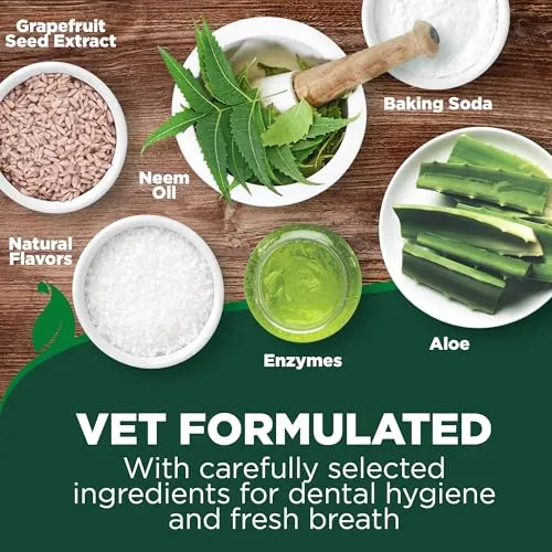 Toothbrush & Enzymatic Toothpaste Kit