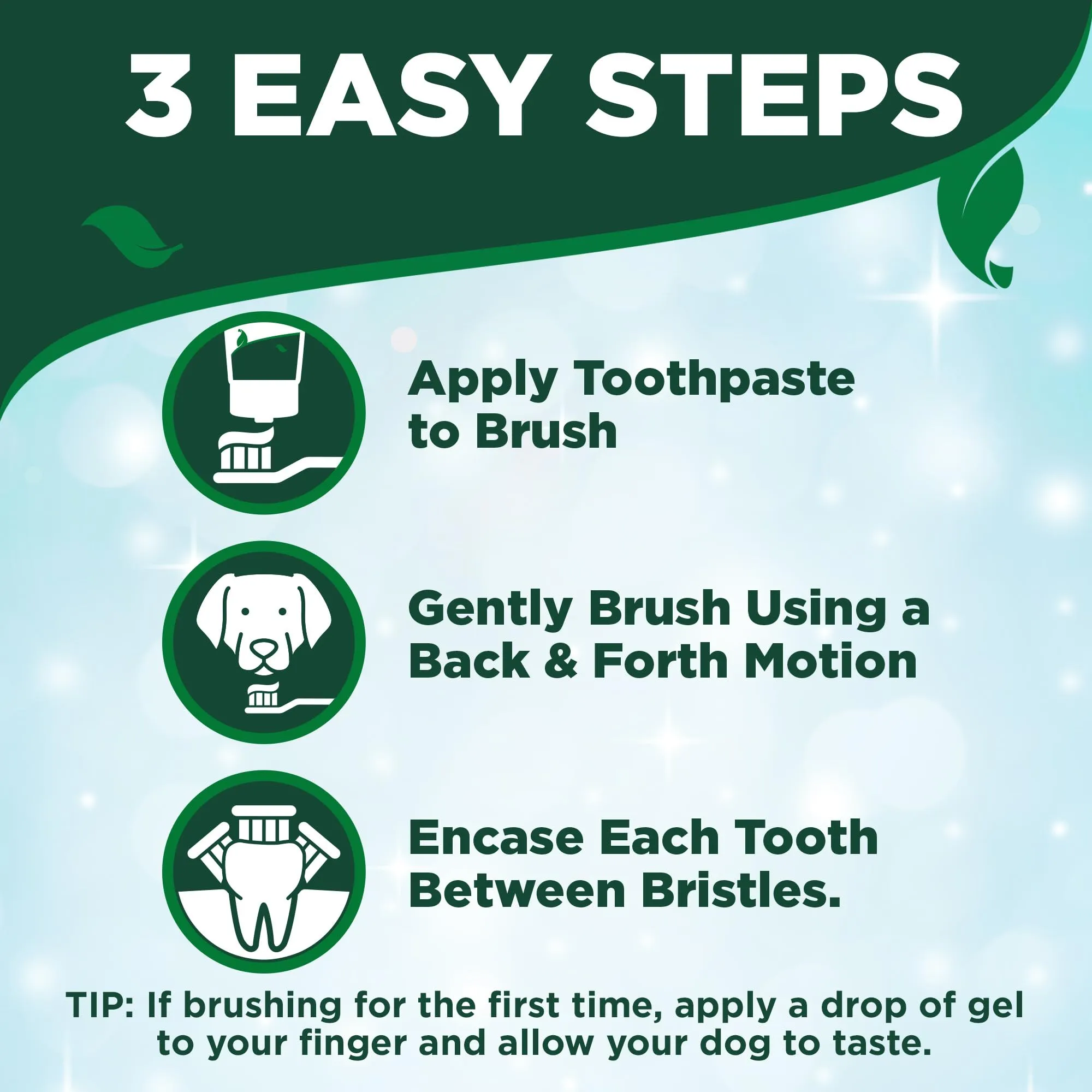 Toothbrush & Enzymatic Toothpaste Kit